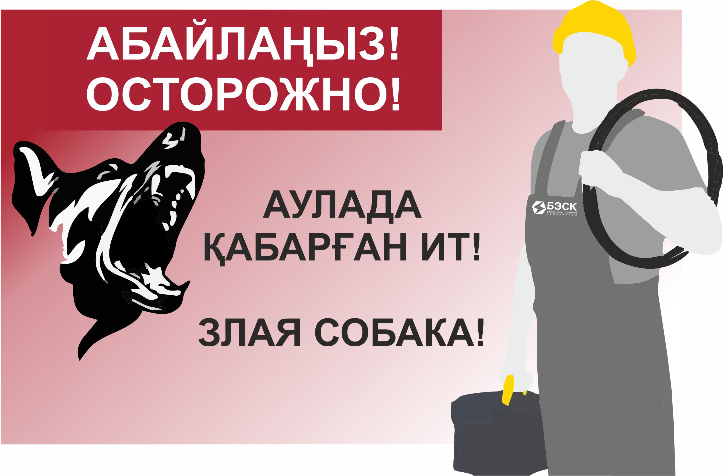 собаки